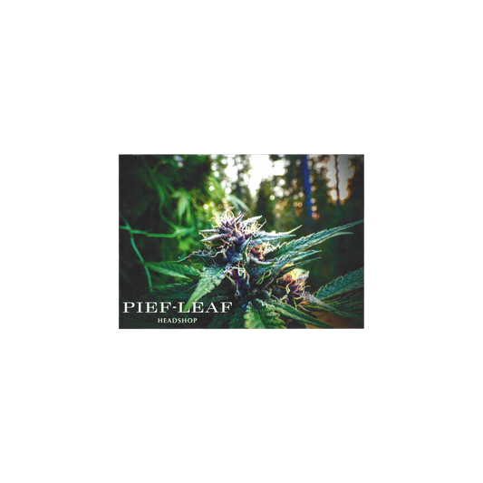 Mischpappe Pief-Leaf