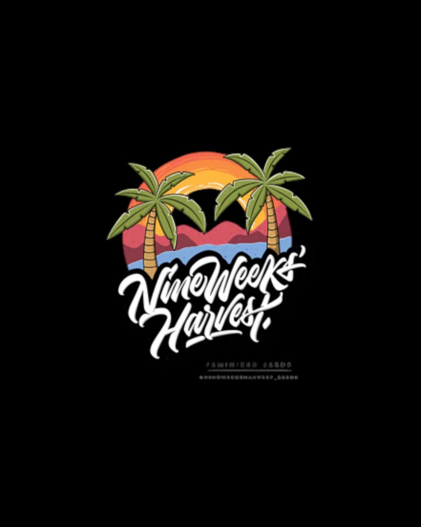 Bens & Cherry feminisierte Premium Cannabissamen kaufen bei Pief-Leaf®