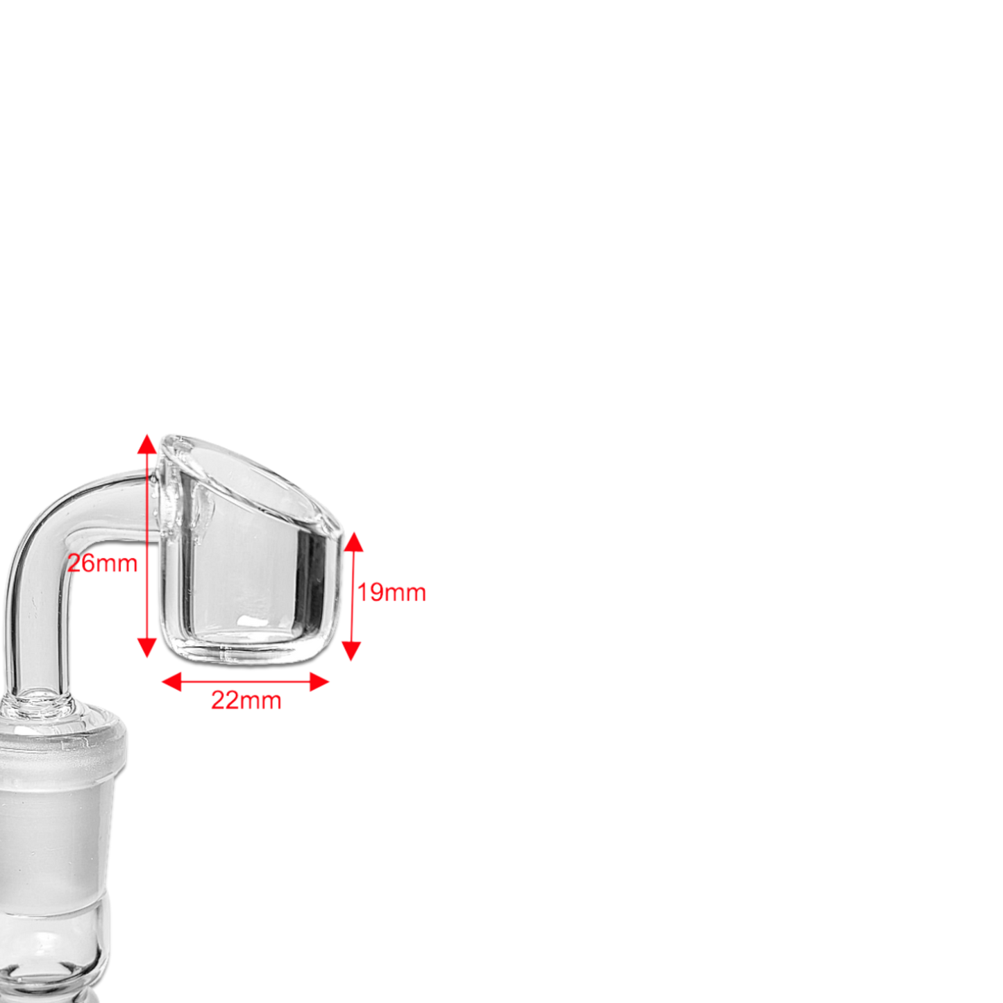 Regular Banger 18,8mm – 4mm dickes Glas – male