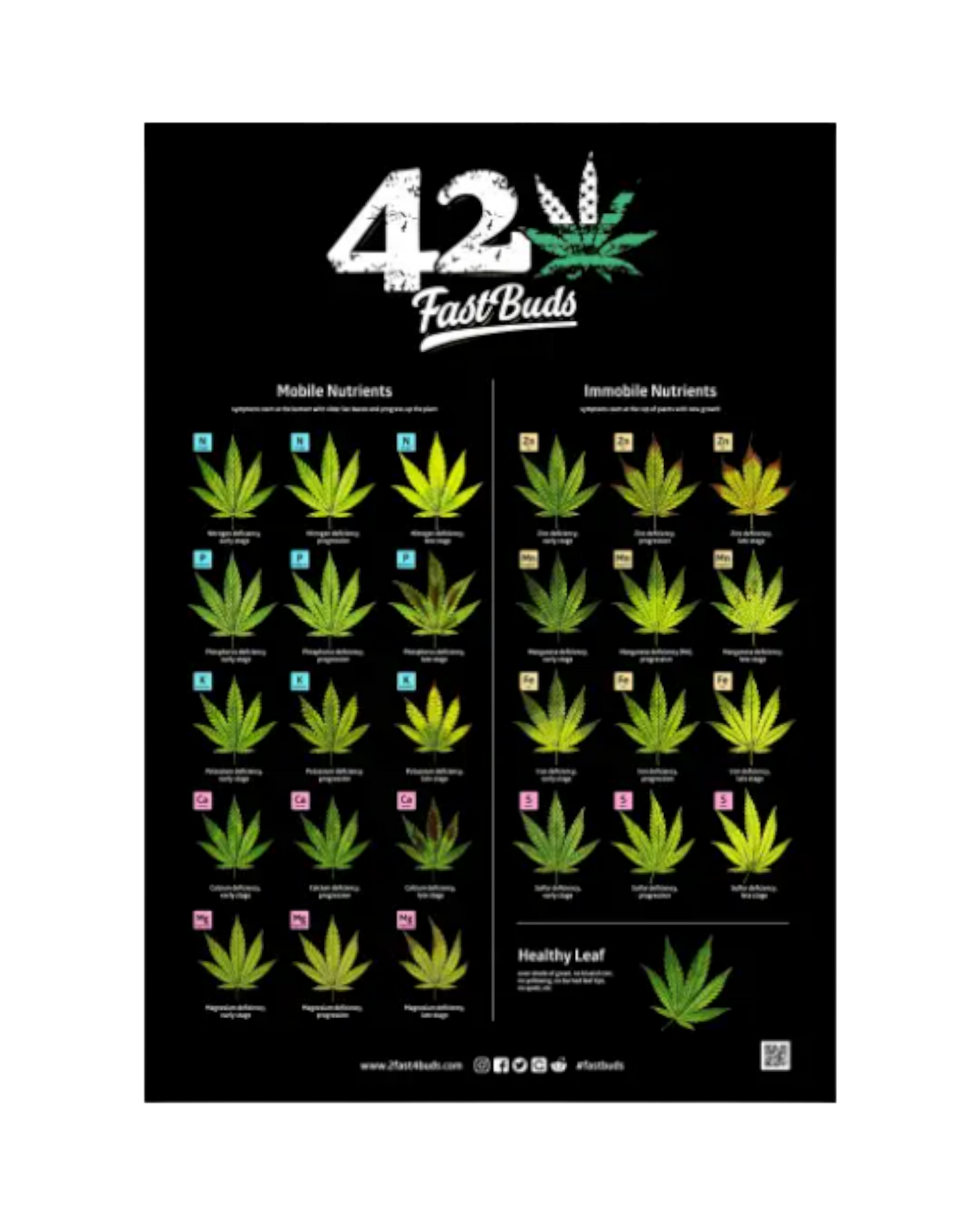 FastBuds - Poster mit hochwertigem Druck und Strain-Motiv