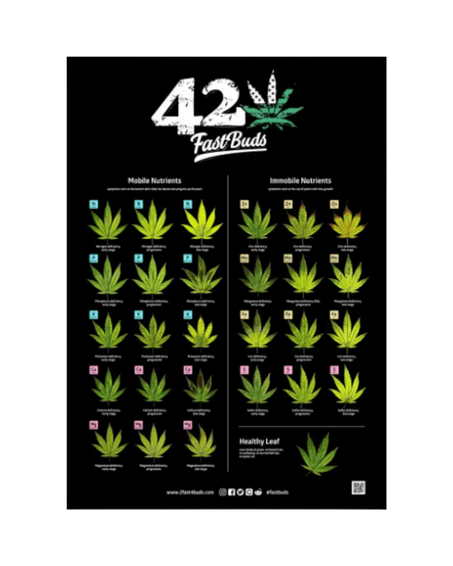 FastBuds - Poster mit hochwertigem Druck und Strain-Motiv
