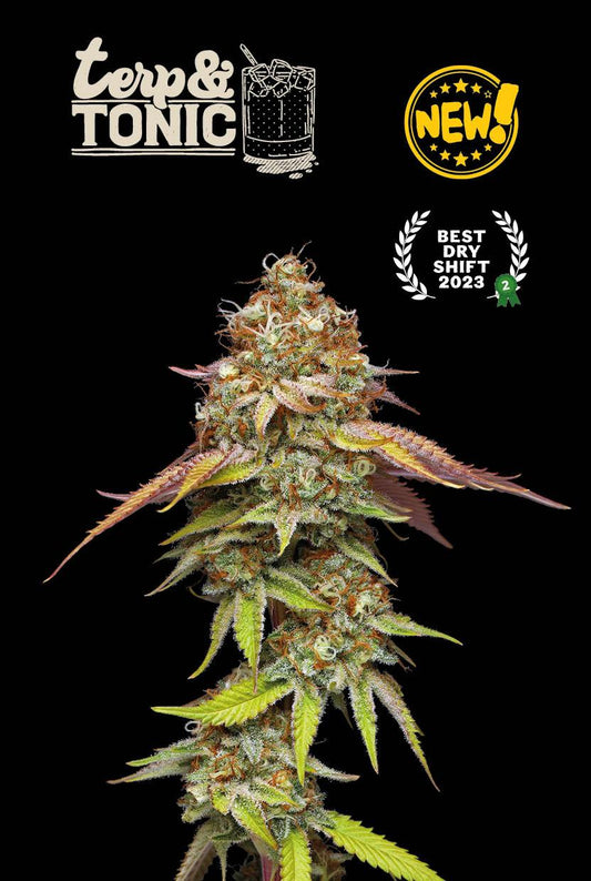 TERP & TONIC© FEMINISIERT