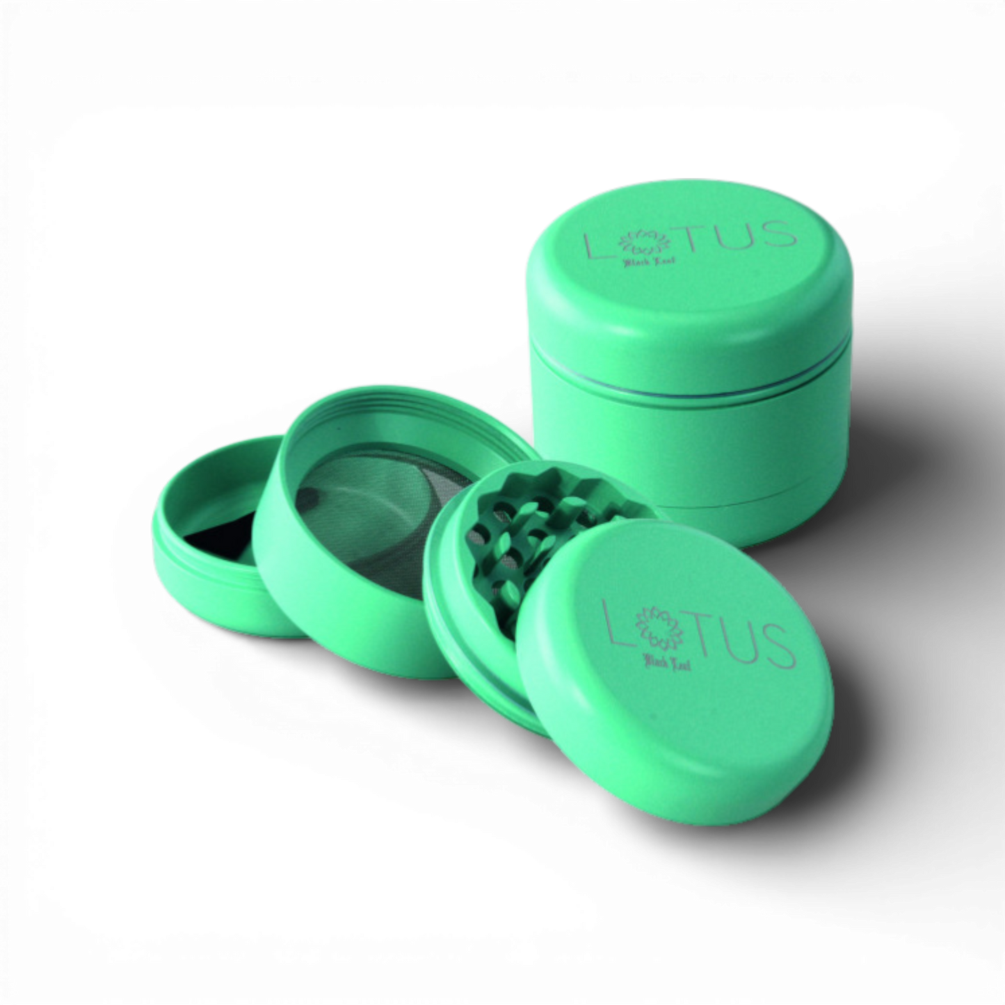 Black Leaf Lotus Grinder Detailaufnahme türkis