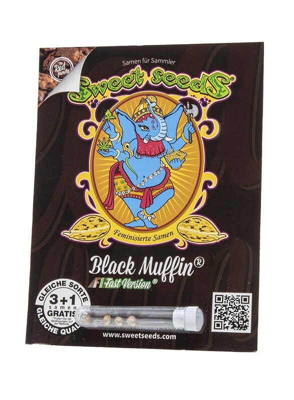Black Muffin F1 – fruchtig-süßes Aroma