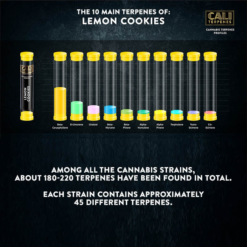 Cali Terpenes - LEMON COOKIES, (1 ml)