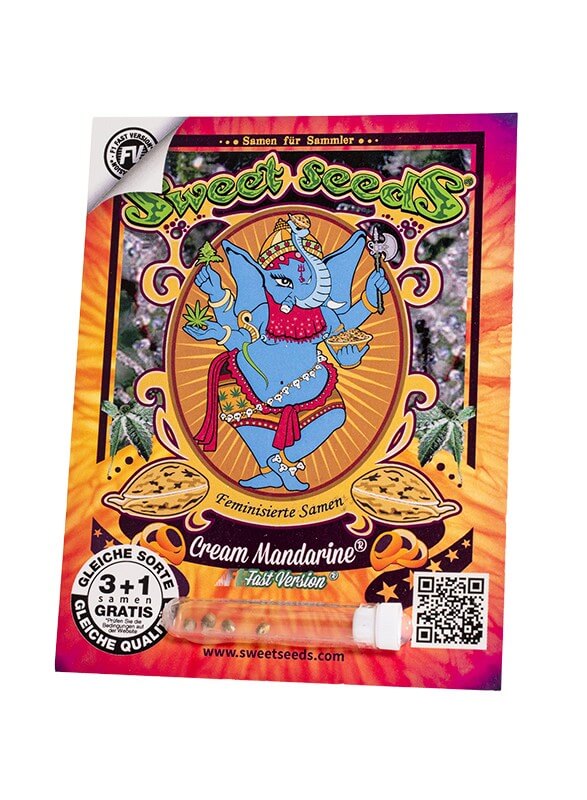Cream Mandarine F1 – süßes Mandarinenaroma von Sweet Seeds