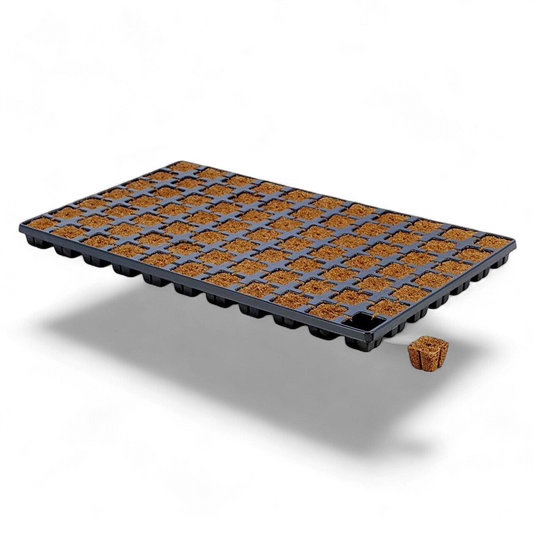 Anzuchtblöcke Eazy Plugs Tray mit 77 rechteckigen Blöcken für Pflanzenanzucht, erhältlich bei Pief-Leaf®
