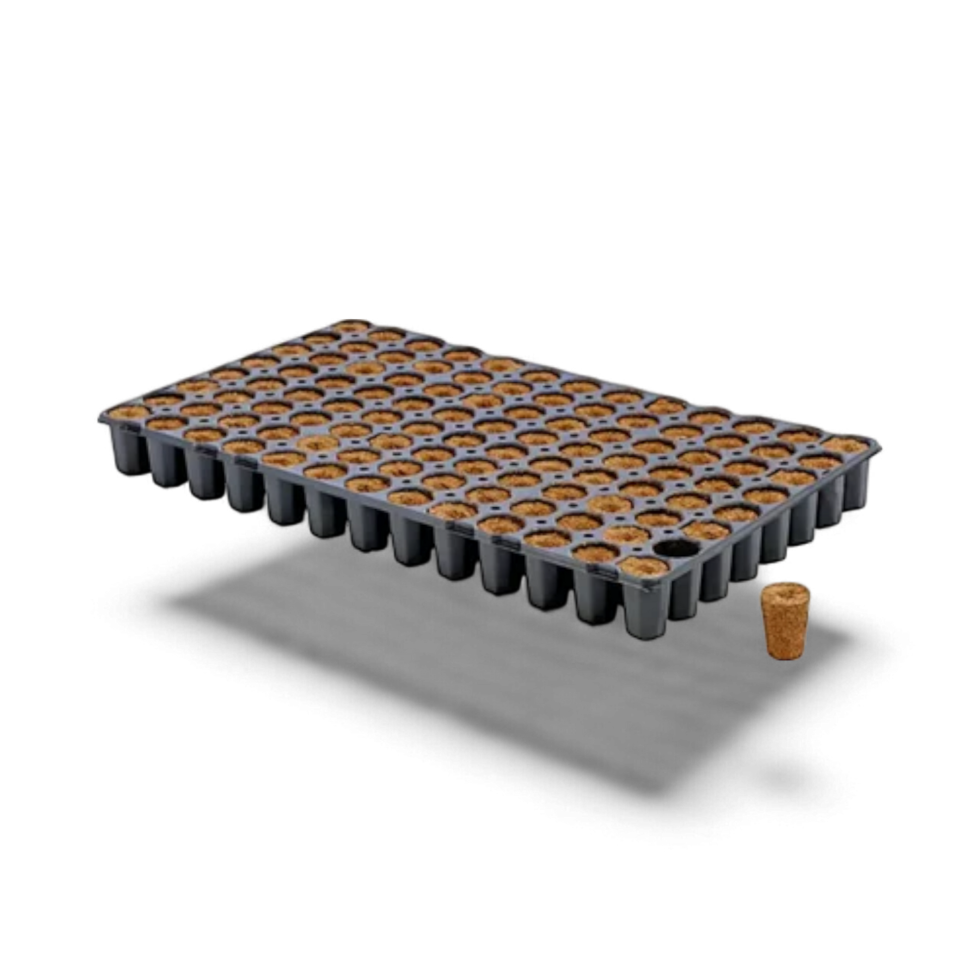 Anzuchtblöcke Eazy Plugs Tray mit 104 runden Blöcken für Stecklinge und Sämlinge, erhältlich bei Pief-Leaf®