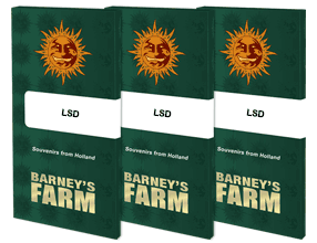 Barneys Farm - LSD FEMINISIERT