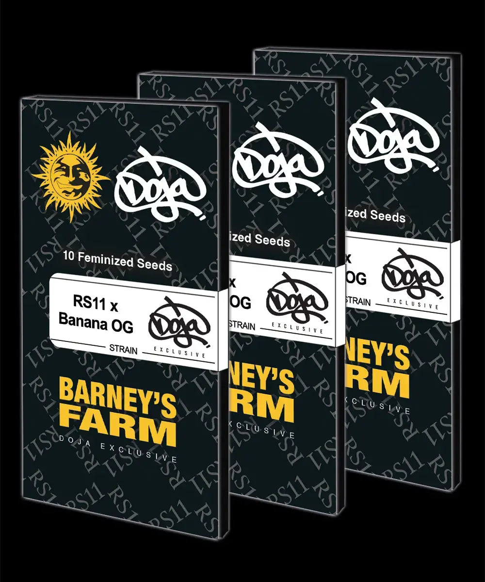 Barneys Farm x Doja - RS11 X Banana OG FEMINISIERT