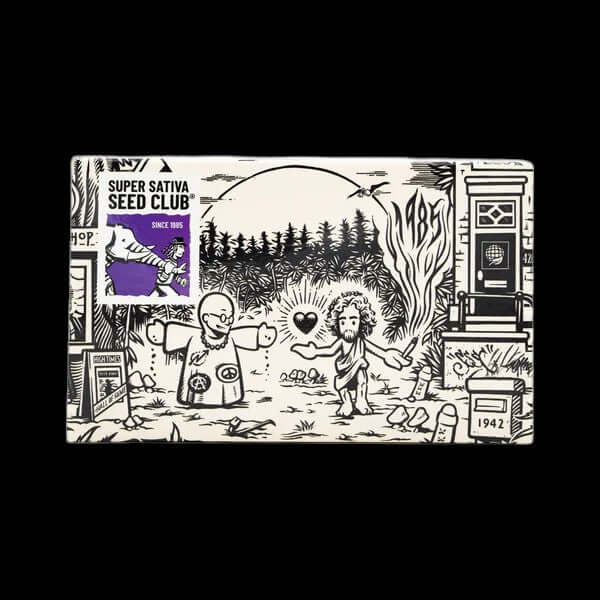 Super Sativa Seed Club Strawberry Cookies Blüte mit Erdbeeraroma