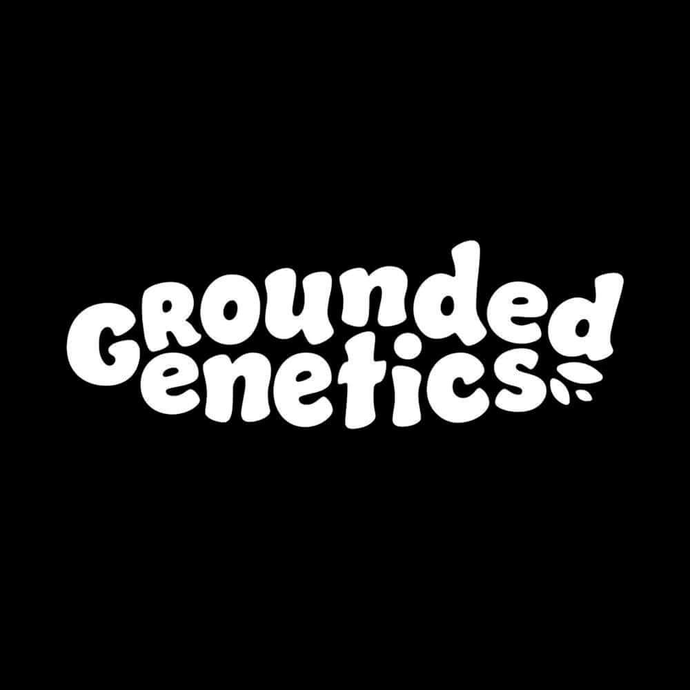 Grounded Genetics feminisierte Cannabissamen Premium Kreuzungen Pief-Leaf®