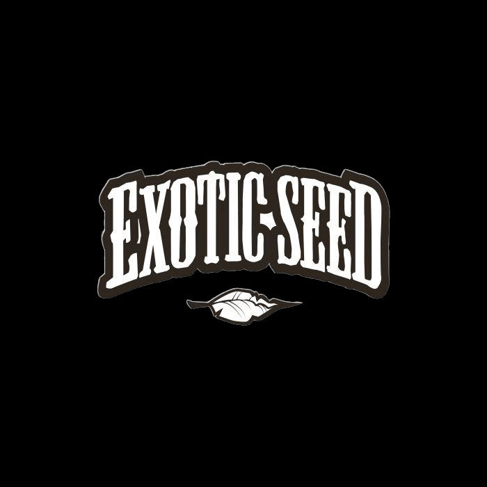 Exotic Seed Feminisiert Autoflower Malasana Gelato Tangerine Kush Pief-Leaf®