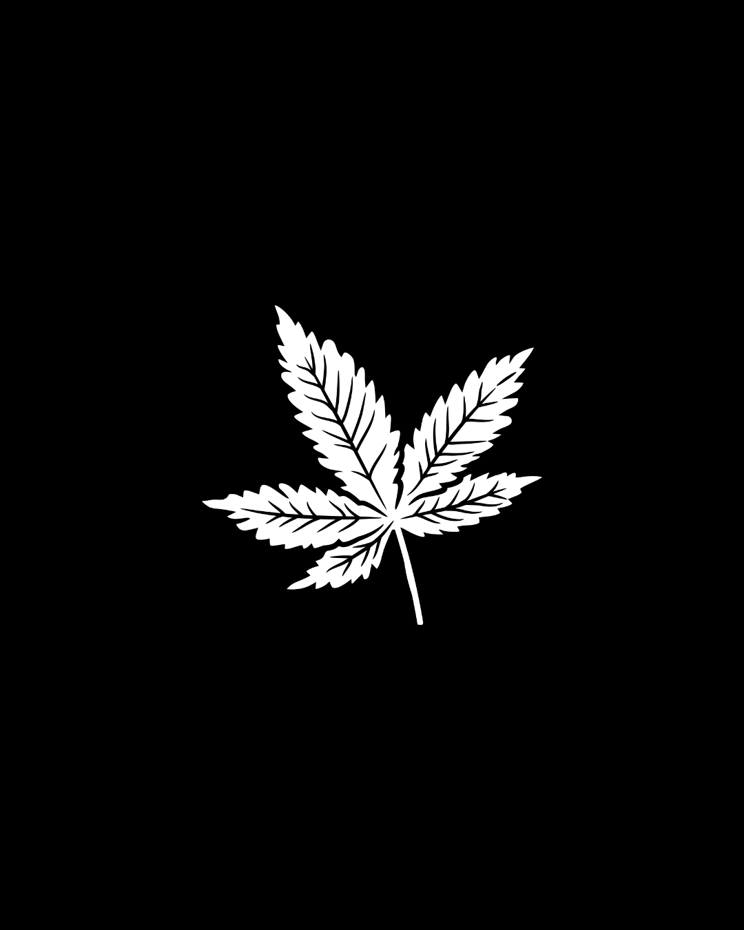 Indica Samen Kollektion bei Pief-Leaf® feminisiert und autoflower