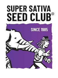 Super Sativa Seed Club SSSC Sativa Genetik Pief-Leaf®