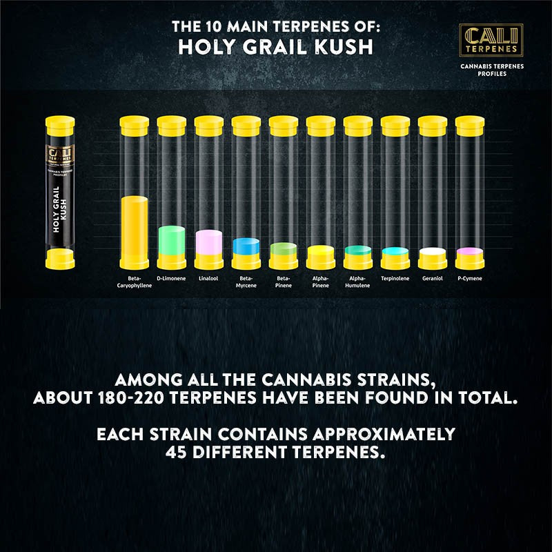 Cali Terpenes - HOLY GRAL KUSH, 1 ml