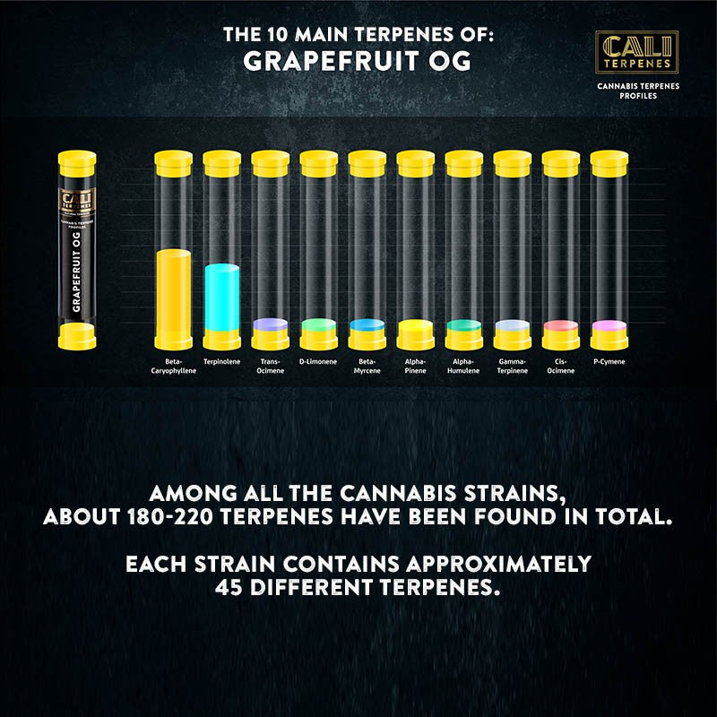 Cali Terpenes - GRAPEFRUIT OG , (1 ml)