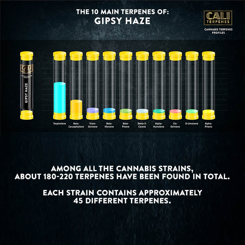 Cali Terpenes - GIPSY HAZE, (1 ml)