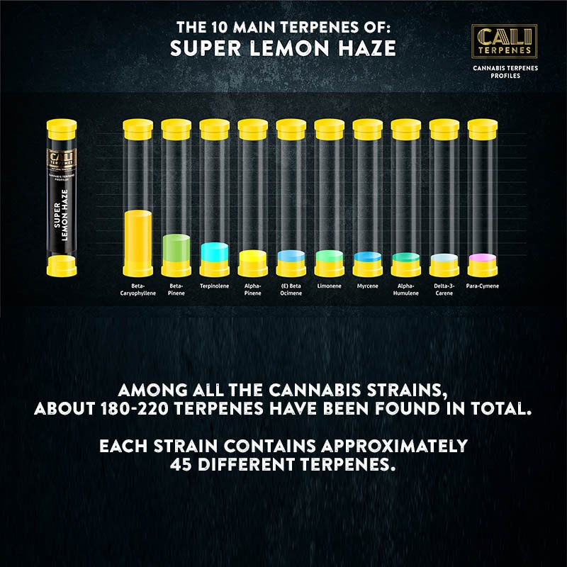 Cali Terpenes - Super Lemon Haze, (1 ml)