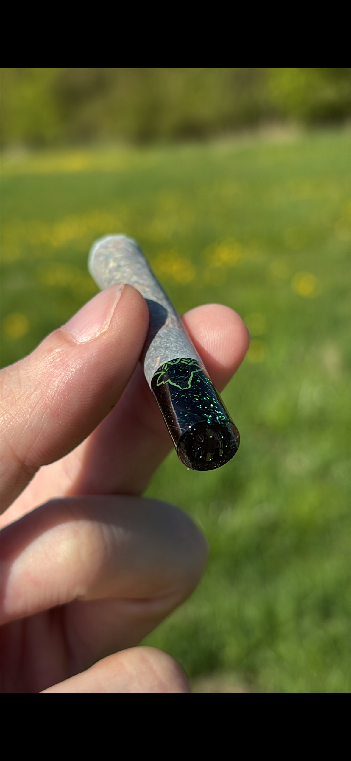 Community Bild mit Pief-Leaf Bezug