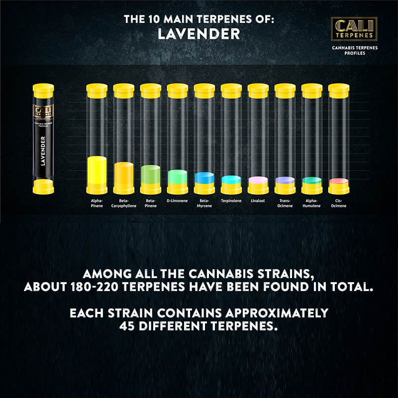 Cali Terpenes - LAVENDER, 1 ml