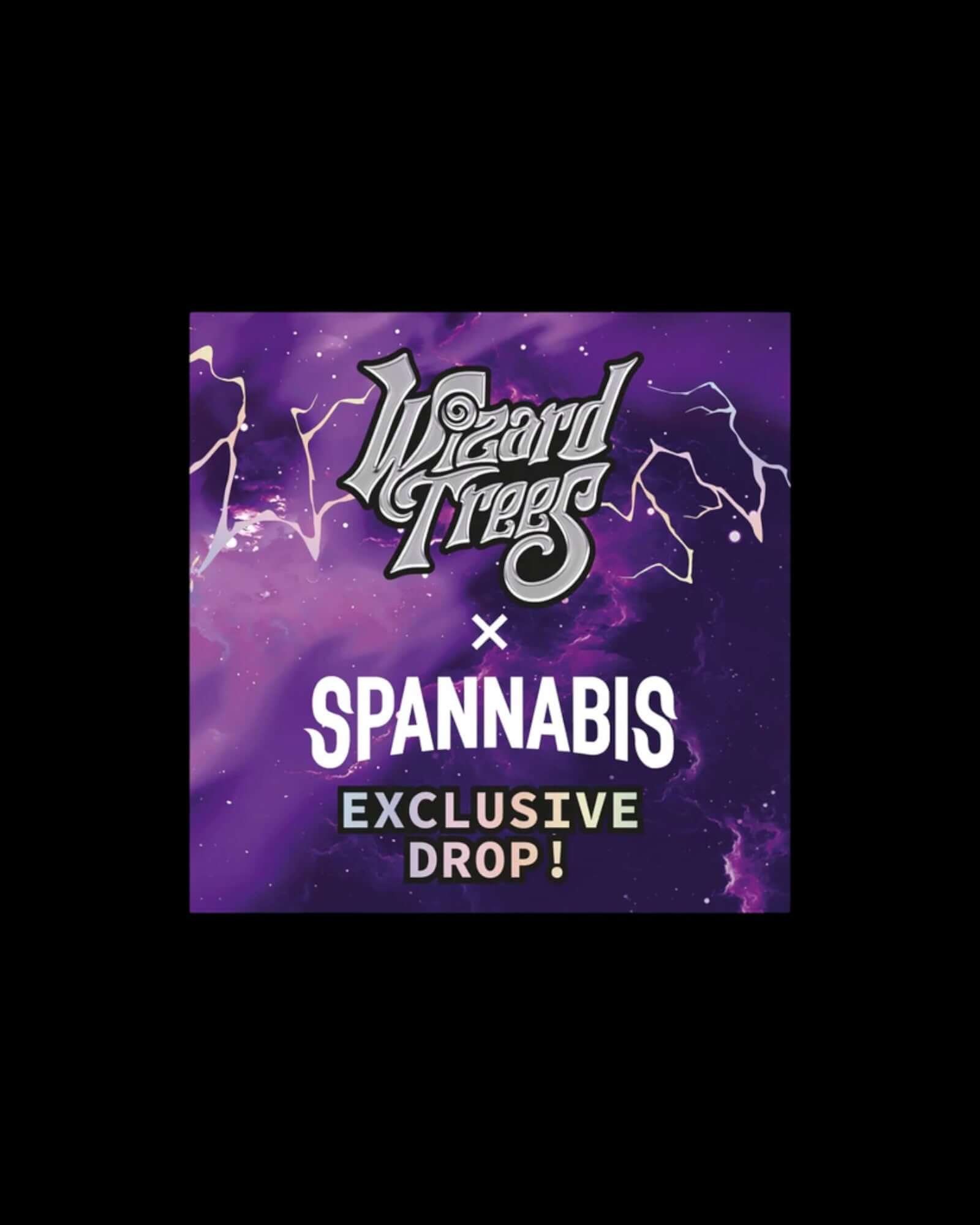 BIG Z Wizard Trees Samenpackung