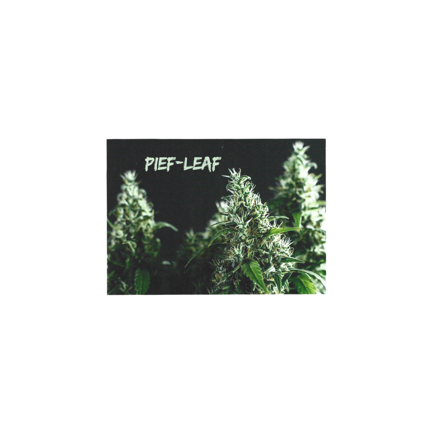 Pief-Leaf Karte Mischpappe