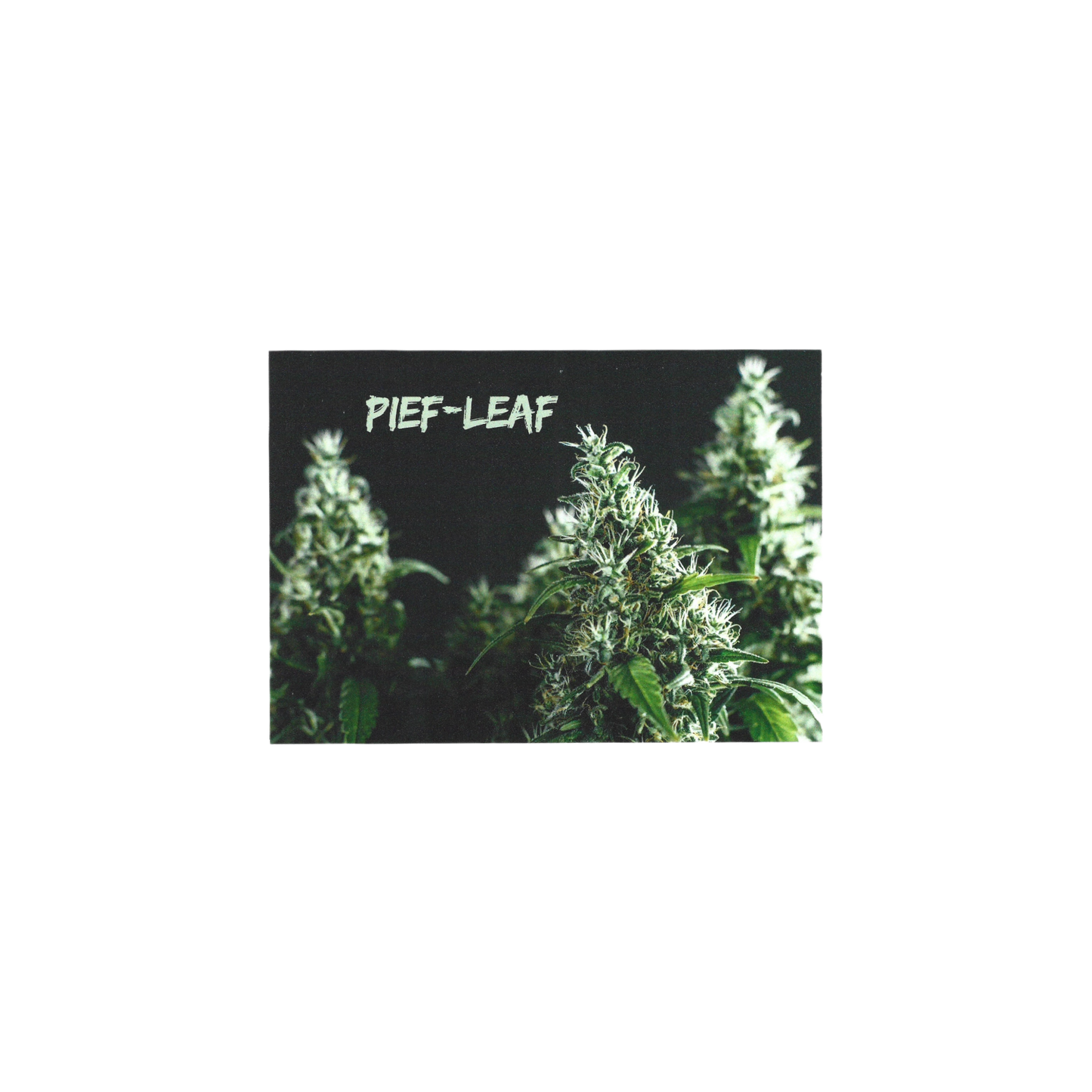 Mischpappe Pief-Leaf