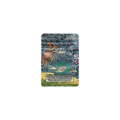 10x Darwin Farms Mylar Bag 3,5g - Leer