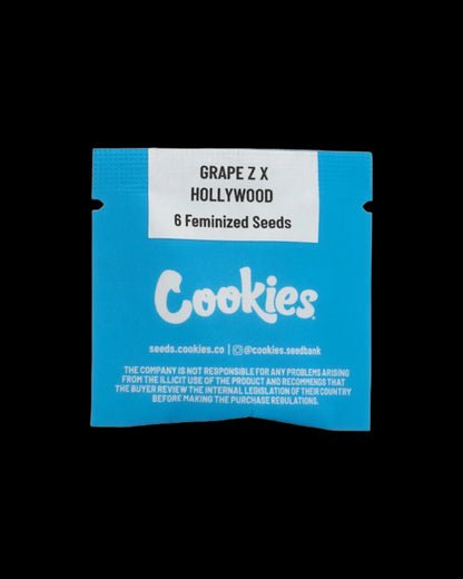 Grape Z x Hollywood FEM Pflanze mit lila Blüten