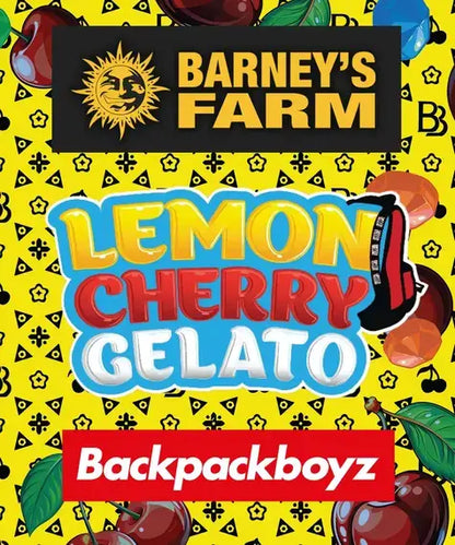 Barney’s Farm Lemon Cherry Gelato Blüte mit Harz