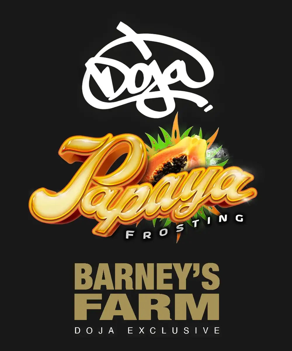 Papaya Frosting Cannabis Samen – 28 % THC, tropische Terpene, Kooperation Barney’s x Doja
