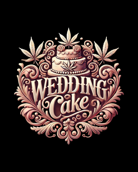 PL - Wedding Cake - FEMINISIERT