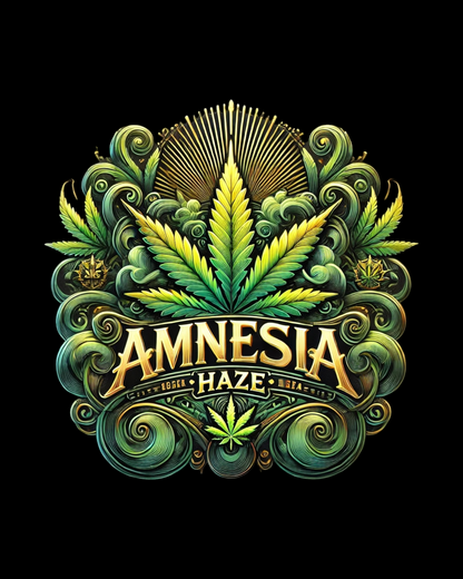 Amnesia Haze Pflanze – kompakter Wuchs und harzige Blüten