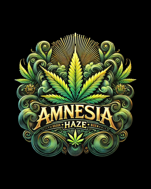 PL - Amnesia Haze - AUTOFLOWER