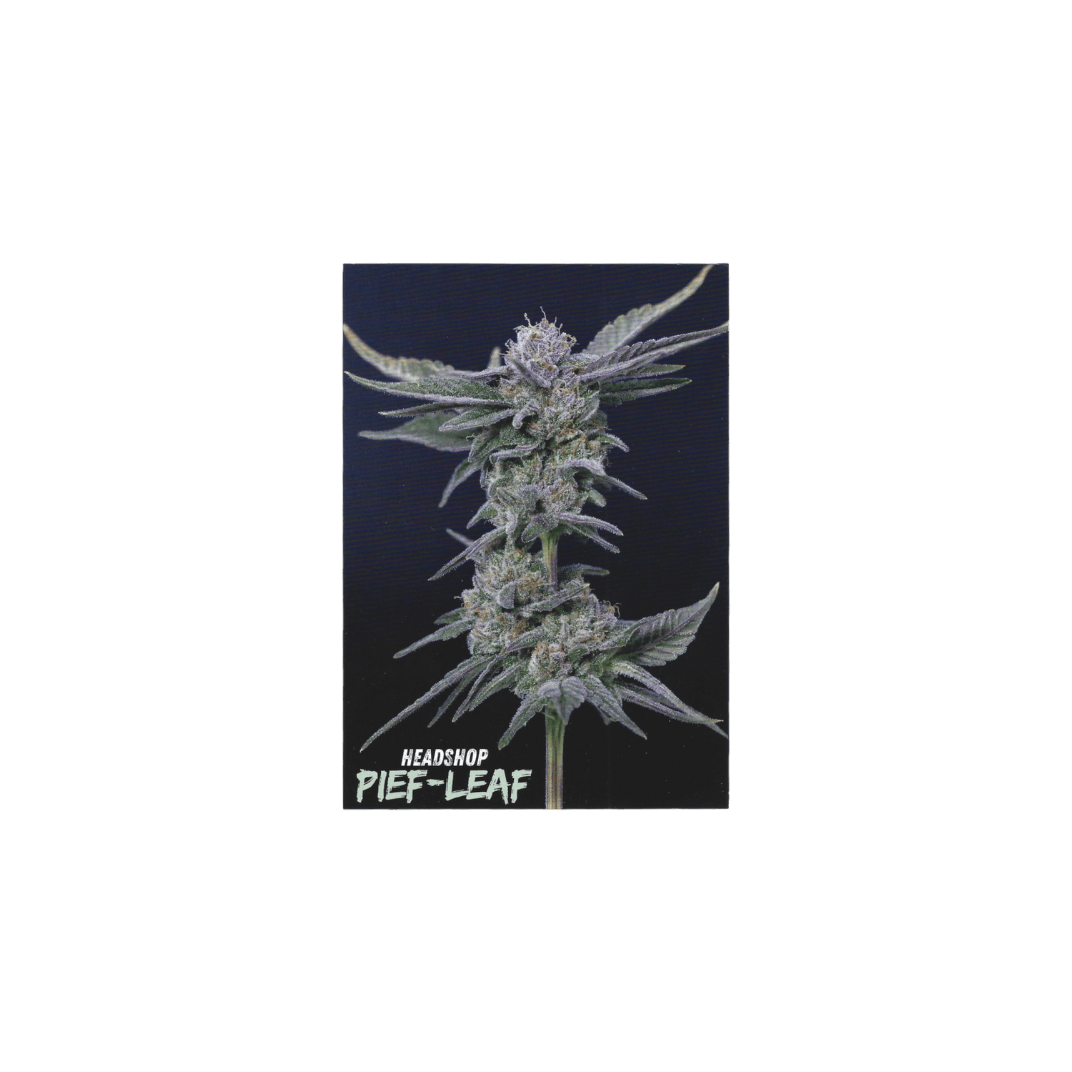 Pief-Leaf mischpappe flach