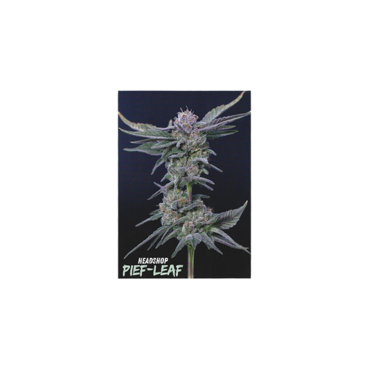 Pief-Leaf mischpappe flach