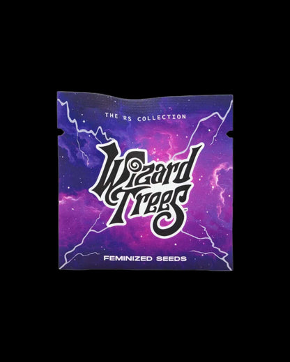 RAINBOW RUNTZ FEMINISIERT von Wizard Trees