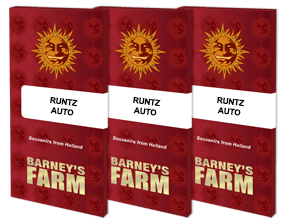 Runtz Auto Produktfoto Pief-Leaf®