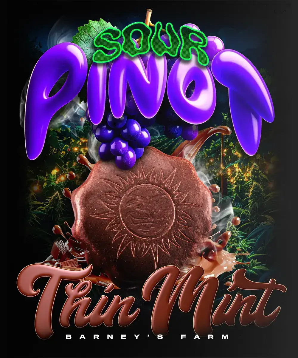 Thin Mint Sour Pinot Auto Cannabissamen