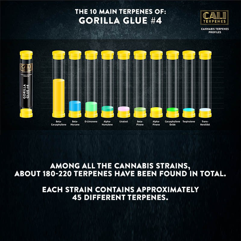 Cali Terpenes - GORILLA-GLUE, 1 ml