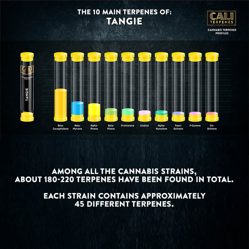Cali Terpenes - TANGIE, (1 ml)