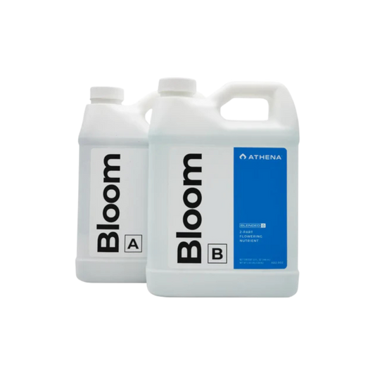 Athena Bloom A+B - Flaschen des Zwei-Komponenten Blüte-Basisdüngers für Pflanzenpflege.