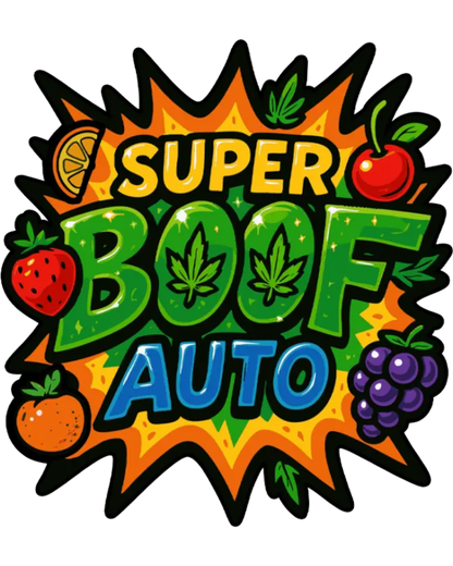 SUPER BOOF AUTOFLOWER Cannabis Samen feminisierte Sorte kompakte Pflanze