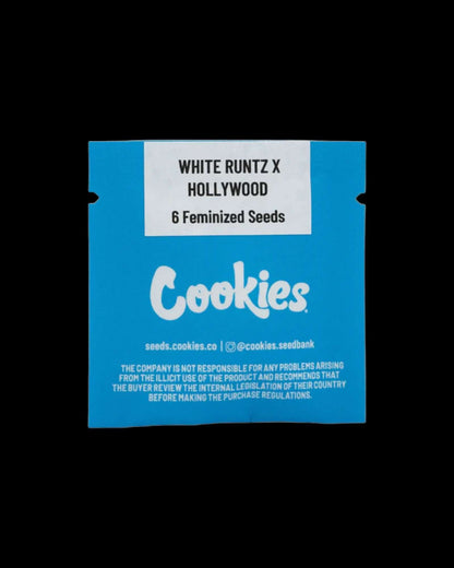 White Runtz x Hollywood Strain von Cookies mit dichten Buds