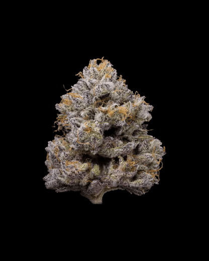 ZZ4 Blüte mit süß-erdigem Duftprofil