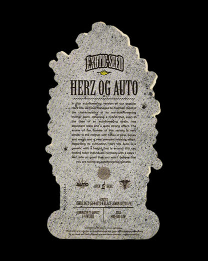 Süß-holziges Aroma der HERZ OG Autoflower Strain