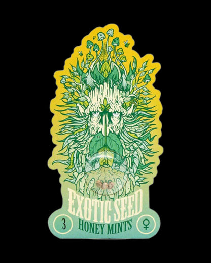 Honey Mints Hybrid mit kompaktem Wuchs Exotic Seed