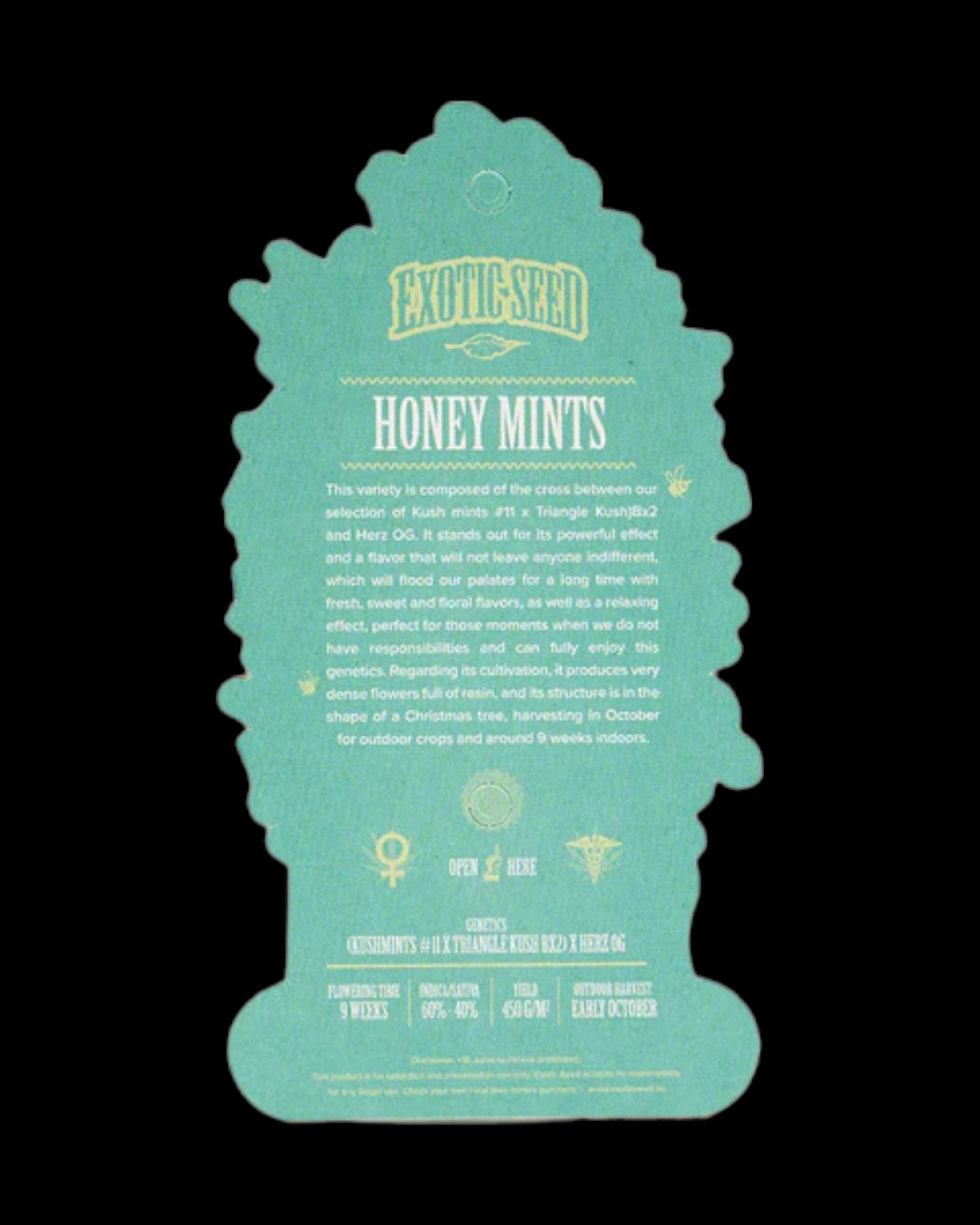 Exotic Seed - HONEY MINTS - FEMINISIERT