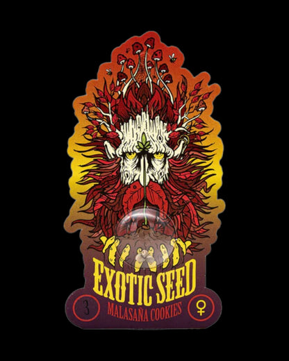 Exotic Seed Malasaña Cookies Cali Strain